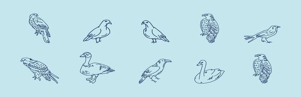 conjunto de aves. buitre, plantilla de diseño icono de dibujos animados águila con varios modelos. ilustración vectorial aislada sobre fondo azul - Vector, Imagen