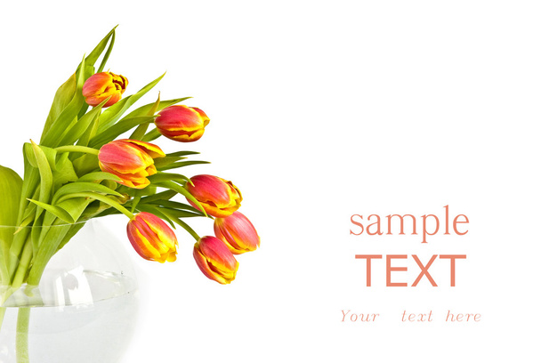 Beautiful bouquet of tulips - Valokuva, kuva
