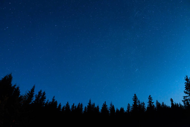 Bosque y pinos paisaje bajo azul oscuro cielo nocturno con muchas estrellas, la Vía Láctea cosmos fondo - Foto, Imagen