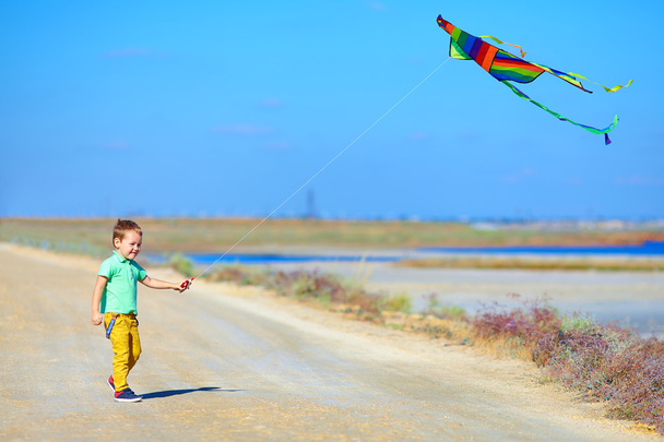 happy boy playing with kite on summer field - Foto, imagen