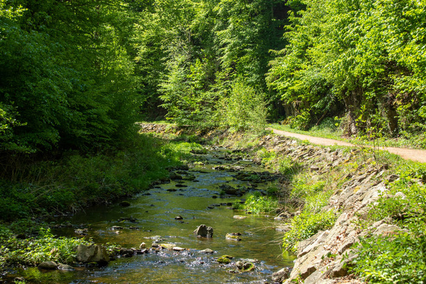 View of river course in the valley of the wild Weiseritz in the Rabenauer Grund near Freital Dresden - Photo, Image