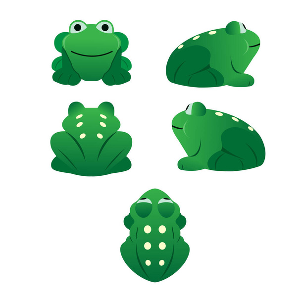 Collection of green frogs top view, front, left, right and back set cartoon vector set on a white background - Vettoriali, immagini
