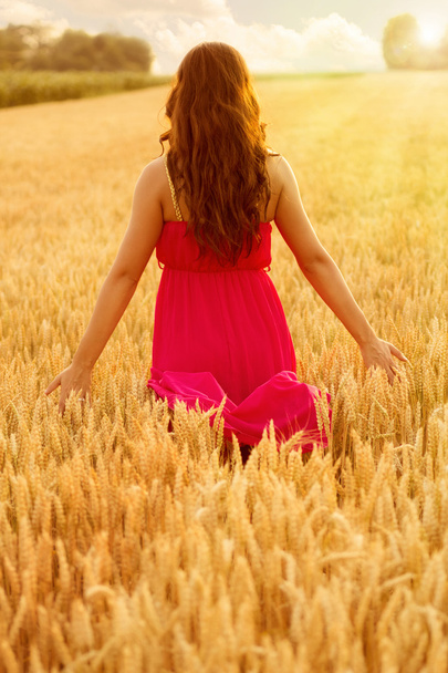 young beautiful woman in field of wheat  - 写真・画像