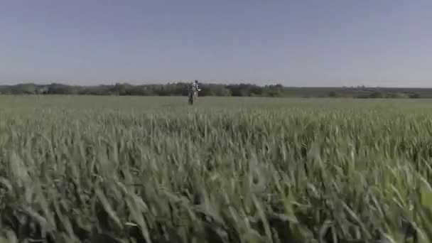 A drone at high speed moves very low over the grass in a field where a young man in an Israeli military uniform is standing and praying. He is wearing tefillin and tallit. - Footage, Video