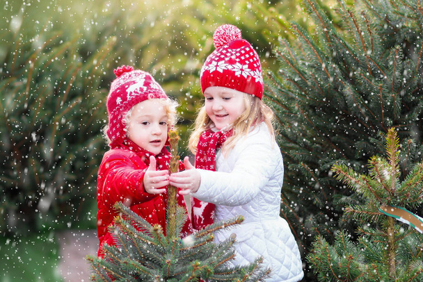 Family selecting Christmas tree. Kids choosing freshly cut Norway Xmas tree at outdoor lot. Children buying gifts at winter fair. Boy and girl shopping for Christmas decoration at market. Holiday time - Photo, Image