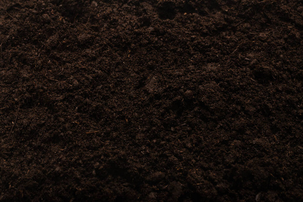 Fekete föld növényi háttérnek. Felülnézet.  - Fotó, kép
