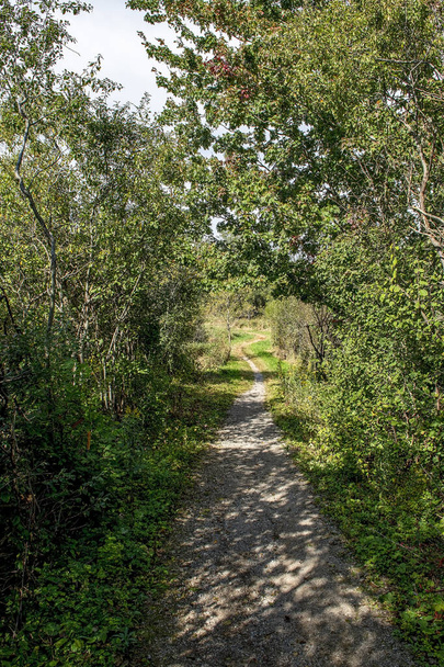 A winding trail leads from the forest through the field to residential areas - Foto, imagen