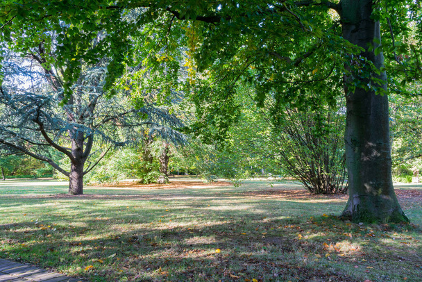 Park with colorful trees, autumn landscape - Φωτογραφία, εικόνα