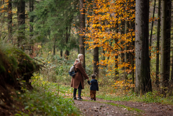 mother and son walk through the forest in autumn - Photo, image