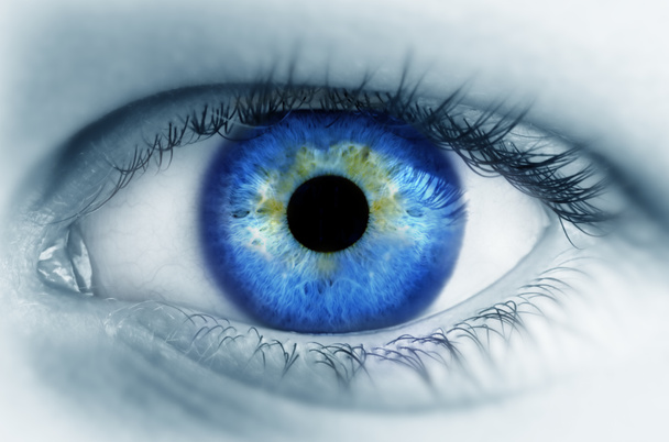 Olhos azuis - Foto, Imagem
