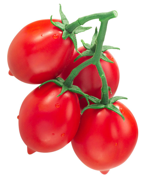 Sarmaşıktaki Piennolo del Vesuvio domatesleri, izole edilmiş bir İtalyan yadigarı. - Fotoğraf, Görsel