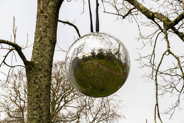 Grand miroir suspendu à un arbre, paysage, ciel gris. - Photo, image