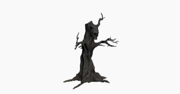 μαύρο σκιάχτρο απέθαντο δέντρο αγχόνης στο νεκροταφείο - Πλάνα, βίντεο