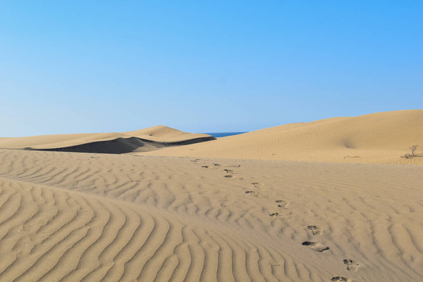 Voetafdrukken in de woestijn zandduinen. - Foto, afbeelding