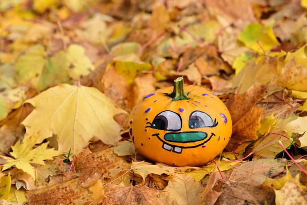 Маленькая оранжевая тыква со смеющимся лицом лежит на земле на желтых осенних листьях. - Фото, изображение