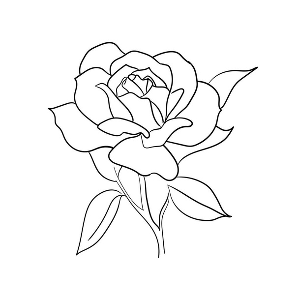 hand-drawn line art rose flower vector illustration 06.eps - Vector, Image