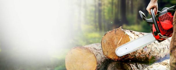 Holzfäller sägt Baum mit Motorsäge auf Sägewerk In Großaufnahme ist ein Mann dabei, einen Baum zu fällen, im Hintergrund verschwimmt der Wald. Breiteres Banner mit Kopierraum. - Foto, Bild