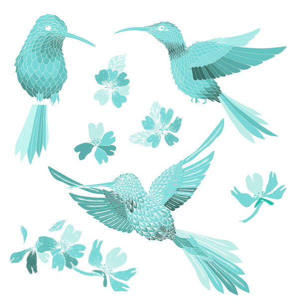 Hummingbird and flowers illustration with solid vector isolated in pink background - Vektör, Görsel