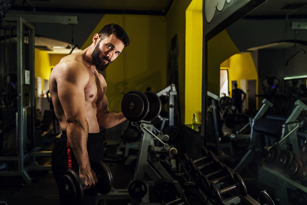 Side view on muscular man strength training at dark gym - male caucasian athlete with beard muscle workout doing bicep with dumbbells - fitness and power concept copy space - 写真・画像