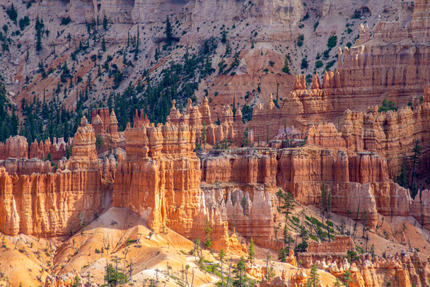 Fénykép a Bryce Canyon Nemzeti Park Utah, USA. - Fotó, kép