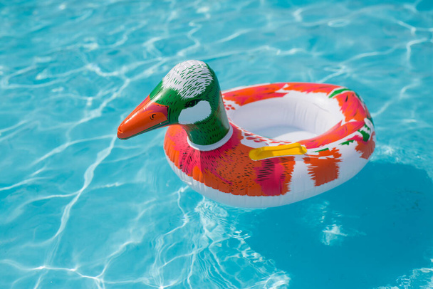  Pato, anillo inflable. Anillo de goma en el agua. Pato tubo de natación en el agua  - Foto, Imagen