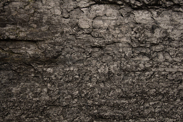 Dark Grey Texture as Background - Photo, image