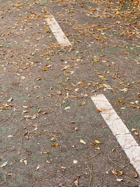 Yerde kahverengi ve sarı yaprakları olan sonbahar bisiklet yolu - Fotoğraf, Görsel