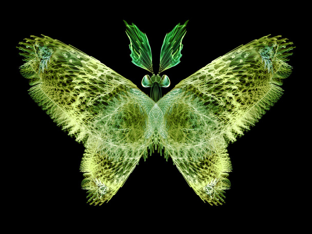 Butterfly Abstraction - Foto, imagen