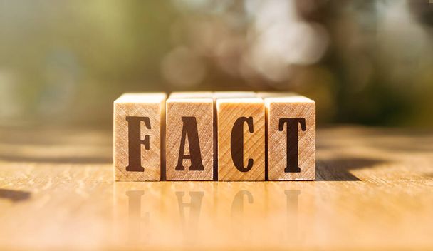Word fact made with building wooden blocks on table in sunlight. - Photo, image