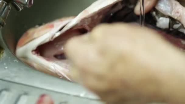 Roher Fisch wird zerlegt. Fisch kochen in der heimischen Küche. Eine Frau schält und schneidet eine - Filmmaterial, Video