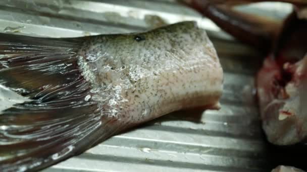 Tagliare il pesce crudo. Cucinare il pesce in cucina. Una donna sbuccia e taglia un - Filmati, video