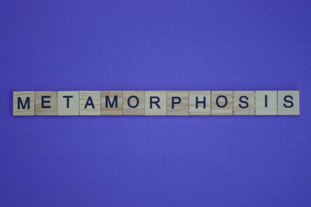  gray word metamorphosis in small square wooden letters with black font on a lilac background - Foto, afbeelding