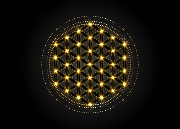 Flower of Life, Yantra Mandala, Sacred Geometry, glow Metatrons cube. Bright golden symbol of harmony and balance. Mystical gold shiny talisman in dark color, vector isolated on black background  - Vector, Image