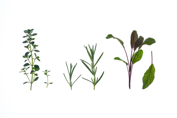 frischer Gartenthymian, Rosmarin und Salbeiblätter isoliert vor weißem Hintergrund - Foto, Bild