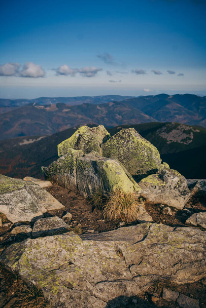 Une montagne rocheuse avec des arbres en arrière-plan - Photo, image