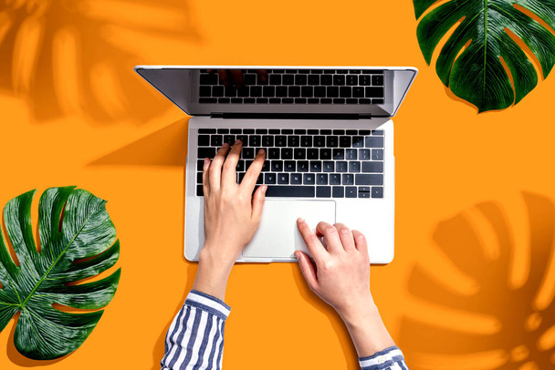 Person using a laptop computer with tropical leaves - Photo, image