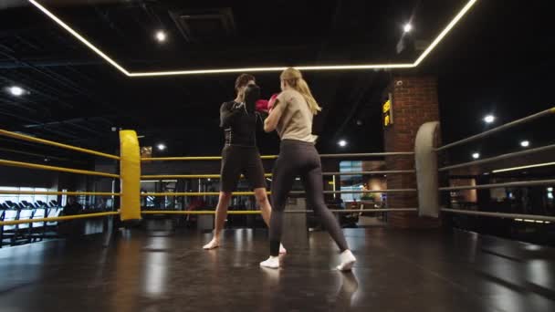 Обучение боксёров боксерскому рингу. Подходящая женщина и тренер, занимающаяся в тренажерном зале - Кадры, видео
