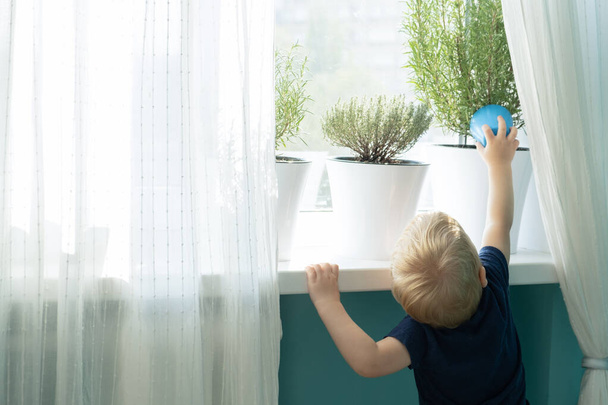 Pequeño niño regando hierbas en el alféizar de la ventana. Inicio jardín de hierbas. - Foto, Imagen