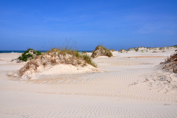 Dune di sabbia a Cape Hatteras National Seashore, sull'isola di Hatteras, Carolina del Nord NC, USA. - Foto, immagini