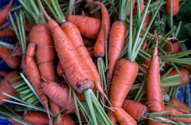 Gruppo di baby carote fresche da vendere sul mercato. - Foto, immagini