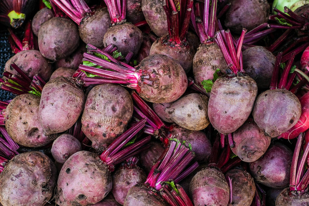 Fresh beetroots display on sell in the market. - Photo, image
