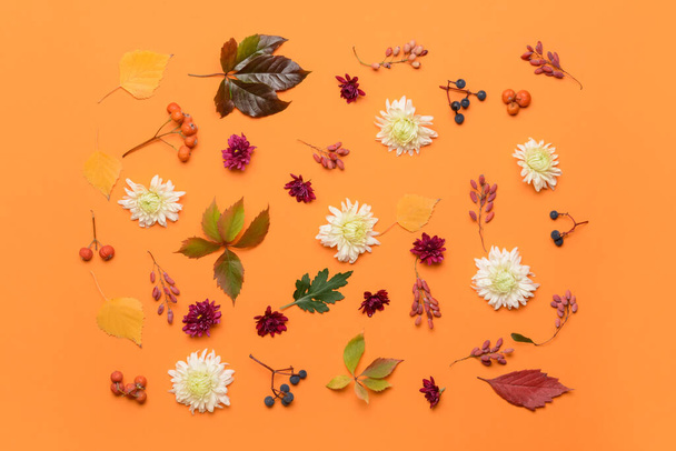 Beautiful autumn composition on color background - Foto, Imagen