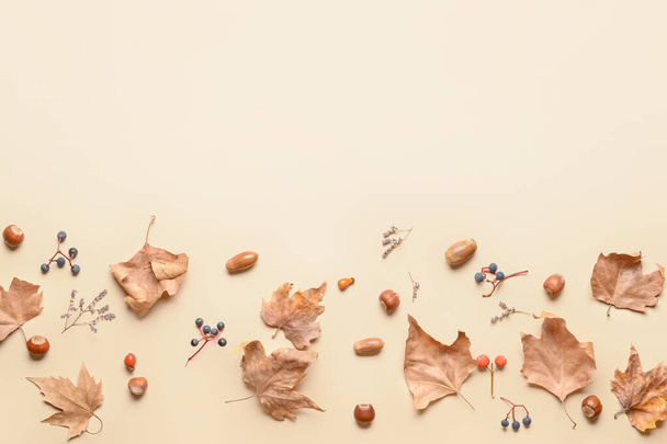 Belle composition d'automne sur fond clair - Photo, image