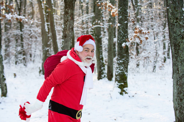 Santa Claus comes in the snow forest. - Foto, Bild