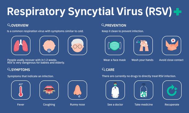 Infografische illustratie van respiratoir syncytieel virus of RSV. Vlakke constructie. - Vector, afbeelding