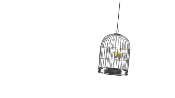 animación dibujada a mano - pajarito volando fuera de una jaula de pájaros - Metraje, vídeo