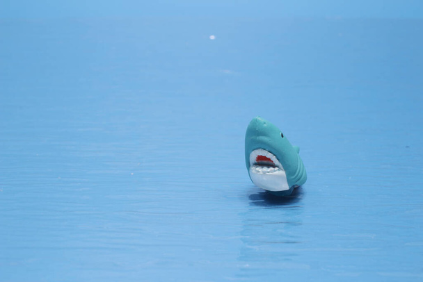 Hai-Spielzeug isoliert auf blauem Grund. - Foto, Bild