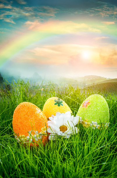 Œufs de Pâques décorés - Photo, image