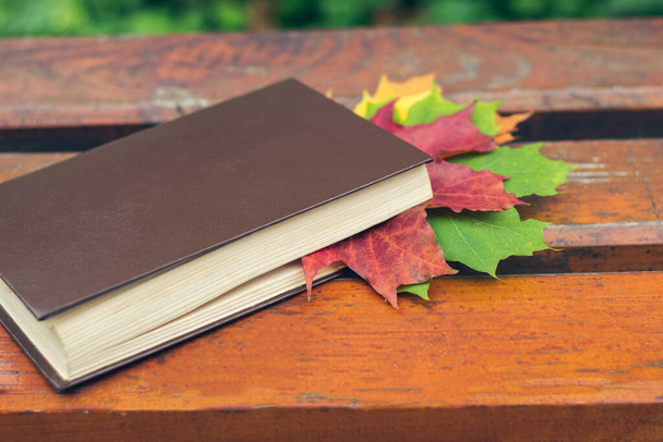 Un libro con hojas de colores incrustadas en él se encuentra en un banco en el parque en otoño - Foto, imagen