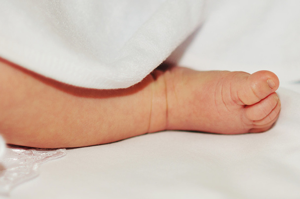 tiny foot of newborn baby - Foto, afbeelding